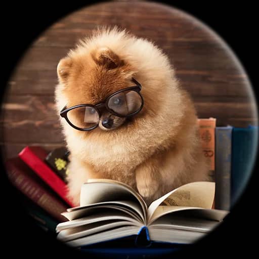 Mascotte Booksline — impression de livres en ligne